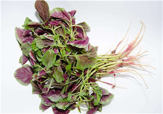 莧菜是酸性還是堿性？吃莧菜有什么好處？