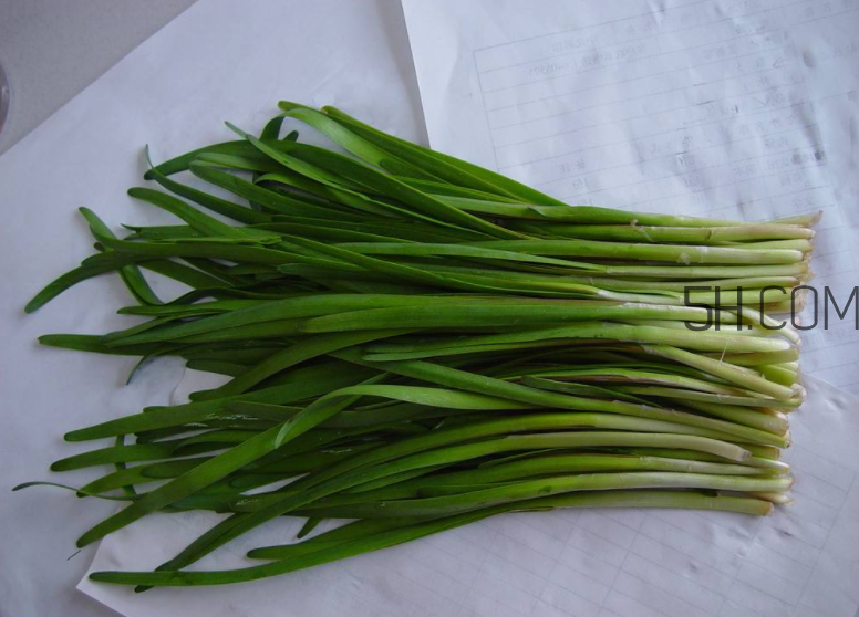 韭菜怎么保存？韭菜傷胃嗎？