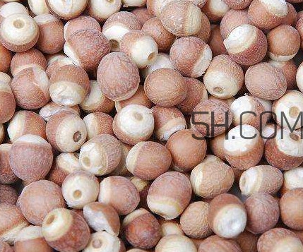芡實(shí)是中藥嗎？芡實(shí)哪里可以買(mǎi)到