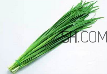 立秋后可以種韭菜嗎？怎樣種韭菜？