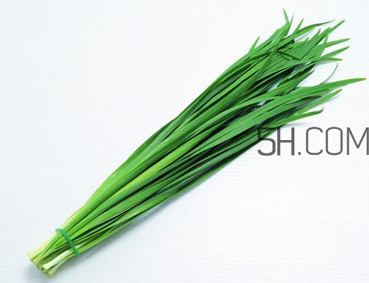 秋天吃韭菜好嗎？韭菜和莧菜能一起吃嗎？