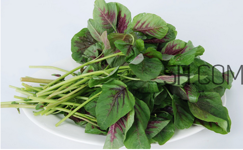 莧菜為什么是紅的？莧菜是涼性的嗎？