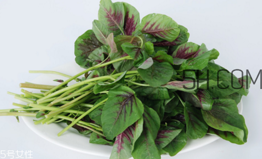 上火能吃咸莧菜嗎？寶寶能吃莧菜嗎？