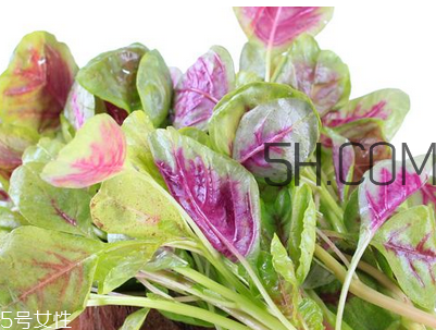 上火能吃咸莧菜嗎？寶寶能吃莧菜嗎？