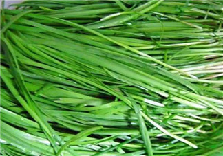 秋天吃韭菜好嗎？韭菜和莧菜能一起吃嗎？
