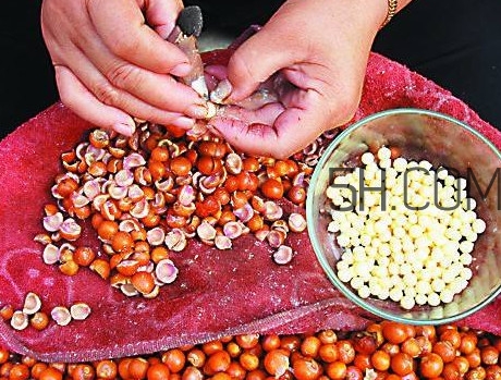 芡實(shí)有什么作用？芡實(shí)是哪里的特產(chǎn)