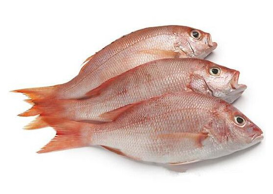 鯛魚多少錢一斤？鯛魚魚骨有什么營養(yǎng)價值