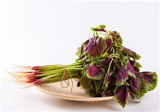 莧菜為什么是紅的？莧菜是涼性的嗎？