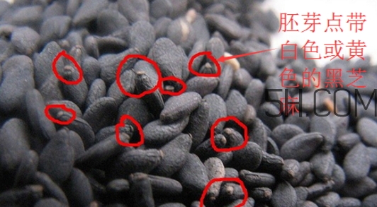 黑芝麻清洗掉色正常嗎？黑芝麻有黑色素嗎？