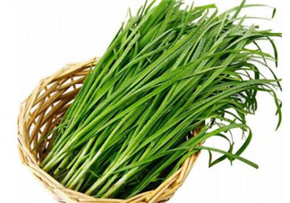 韭菜種植條件有哪些？韭黃和韭菜的區(qū)別