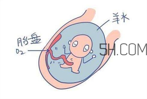 怎么防止羊水早破？羊水早破的危害
