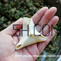 餃子和面用熱水還是冷水？餃子和面要醒多長時間？