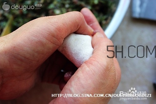 餃子和面用熱水還是冷水？餃子和面要醒多長時間？