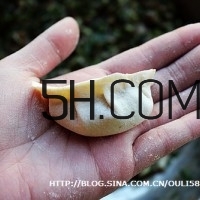 怎么包餃子快又好看？十種家常包餃子的方法~