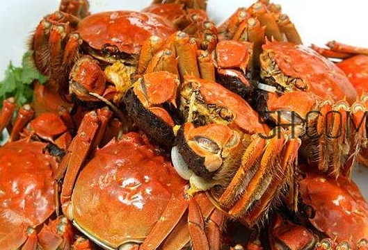 孕婦吃螃蟹多久流產(chǎn)？孕婦吃多少螃蟹會流產(chǎn)？