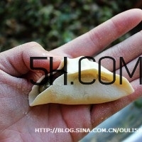 怎么包餃子快又好看？十種家常包餃子的方法~