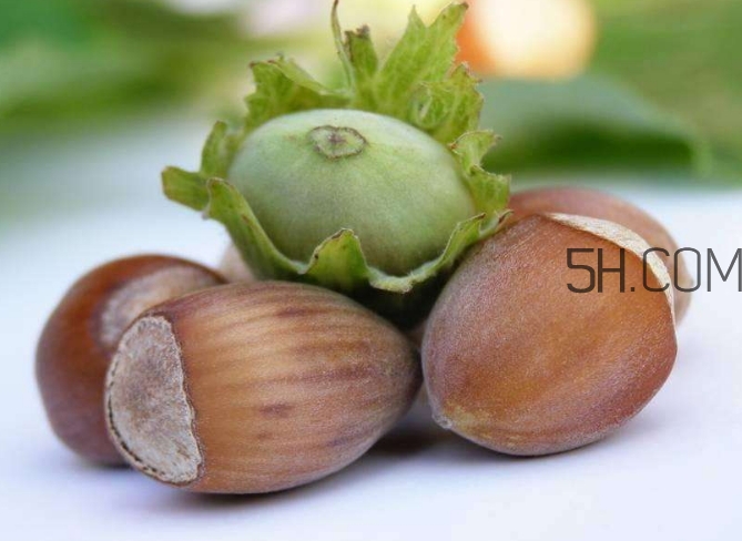 榛子生吃好還是熟吃好？榛子怎么吃營養(yǎng)價值高？