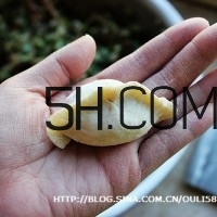 怎么包餃子快又好看？十種家常包餃子的方法~