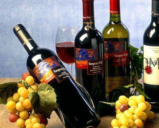 小孩能不能喝葡萄酒？高血糖能不能喝葡萄酒
