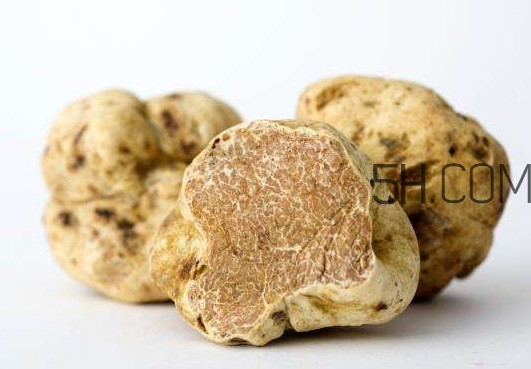 松露怎么分辨真假？松露怎么清洗