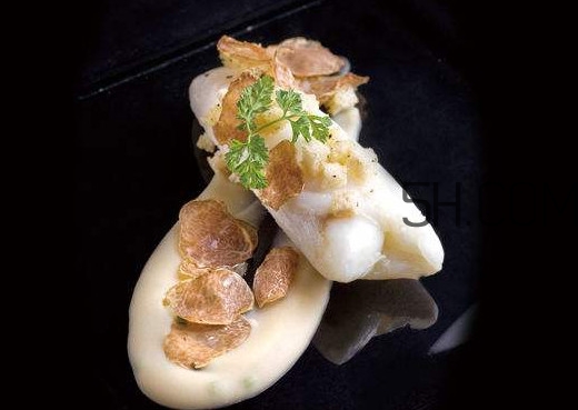 白松露是什么？白松露的功效與作用