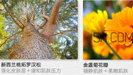 the saem得鮮眼霜適合什么年齡？得鮮眼霜怎么樣？
