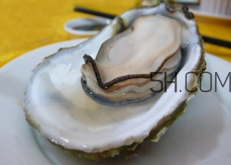 海蠣子壯陽(yáng)嗎？海蠣子有寄生蟲(chóng)嗎