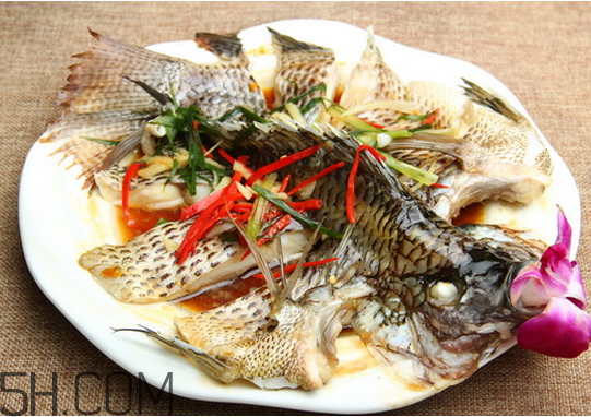 沒(méi)有魚刺的魚是哪種魚？如何挑選魚？