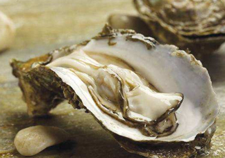 海蠣子是生蠔嗎？海蠣子和生蠔的區(qū)別