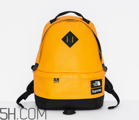 supreme與the north face2017秋冬聯(lián)名發(fā)售時(shí)間_多少錢(qián)？