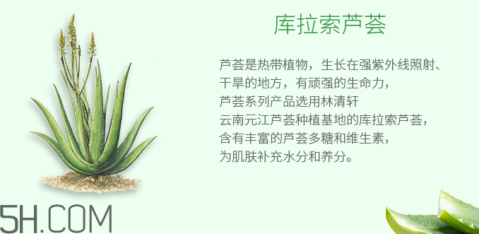 林清軒蘆薈面膜泥怎么樣？林清軒蘆薈面膜泥測(cè)評(píng)