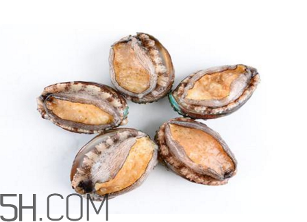鮑魚吃了會(huì)上火嗎？鮑魚是發(fā)物嗎？