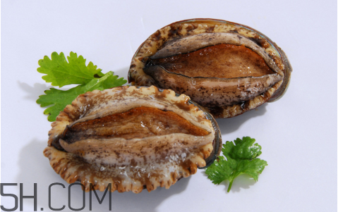 鮑魚吃了會(huì)上火嗎？鮑魚是發(fā)物嗎？