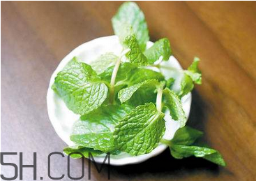 感冒可以喝酒嗎？薄荷治療感冒的方法