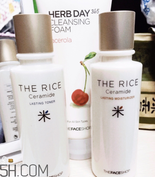 菲詩小鋪水乳怎么樣？菲詩小鋪水乳哪個好用？