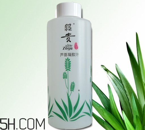 昭貴蘆薈凝膠汁怎么樣？昭貴蘆薈膠和完美蘆薈膠哪個好？