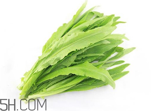 油麥菜是轉(zhuǎn)基因蔬菜嗎？油麥菜是發(fā)物嗎