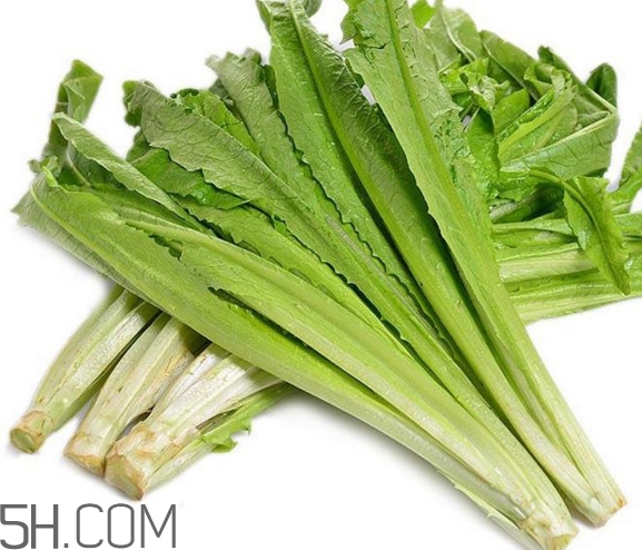 油麥菜是酸性還是堿性？油麥菜是什么季節(jié)的菜
