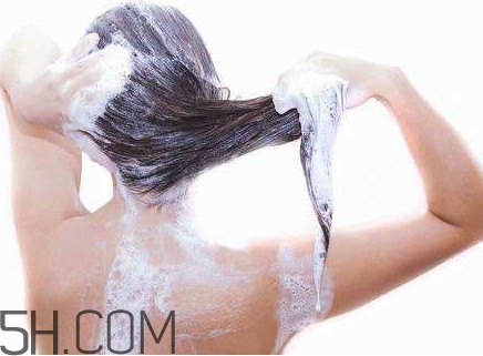 醋洗頭是白醋還是陳醋？用醋洗頭要用洗發(fā)水嗎？