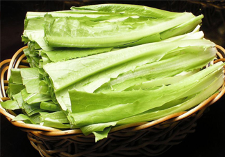 西紅柿和油麥菜能一起吃嗎？油麥菜能包餃子嗎