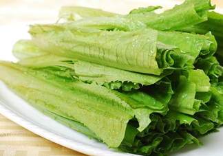 油麥菜不能和什么一起吃？油麥菜什么人不能吃