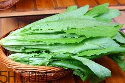 油麥菜是轉(zhuǎn)基因蔬菜嗎？油麥菜是發(fā)物嗎
