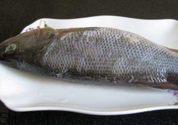 鮭魚是三文魚嗎？鮭魚的營養(yǎng)價值