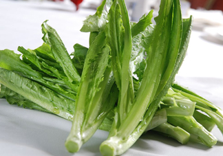 油麥菜為什么叫油麥菜？油菜和油麥菜的區(qū)別