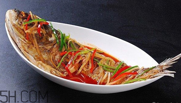 胖頭魚是什么魚？胖頭魚是發(fā)物嗎