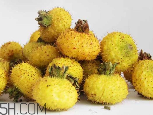 刺梨能降血壓嗎？刺梨是哪里的特產(chǎn)