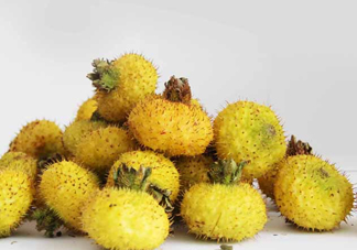 刺梨能降血壓嗎？刺梨是哪里的特產(chǎn)