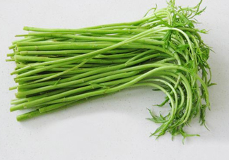 藜蒿多少錢一斤？藜蒿和蘆蒿是同一種菜嗎？