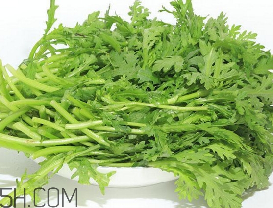 皇帝菜與什么煲湯好吃？皇帝菜性寒嗎