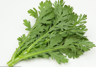 皇帝菜是什么樣子？皇帝菜又叫什么菜